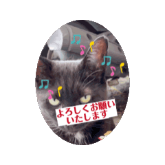 [LINEスタンプ] 猫と花の動くスタンプ