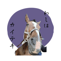 [LINEスタンプ] わしはカイテキ