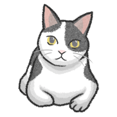 [LINEスタンプ] ぶち猫（白黒猫）スタンプ【常用】
