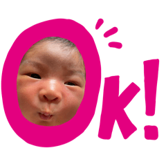 [LINEスタンプ] はおくんスタンプ⭐︎