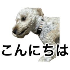 [LINEスタンプ] HIME 〜ひめ〜 Ver.4