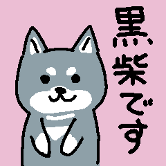 [LINEスタンプ] 黒柴さん敬語スタンプです