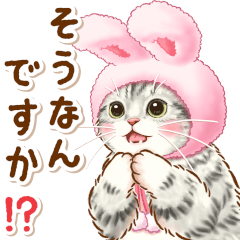 [LINEスタンプ] うさぎにゃんこの飛び出すスタンプ【敬語】の画像（メイン）