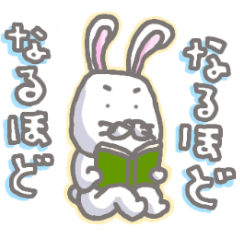 [LINEスタンプ] うさぎさんで－す