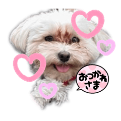 [LINEスタンプ] ごきげんな花の日常④