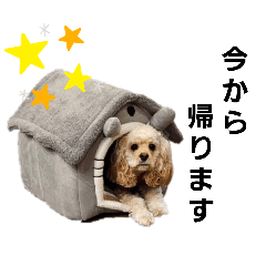 [LINEスタンプ] 禮くんです♡♡