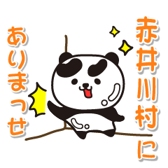 [LINEスタンプ] 艶パンダ！ 北海道赤井川村！の画像（メイン）