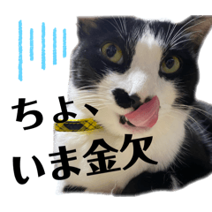 [LINEスタンプ] てんちゃんとぷっぷ