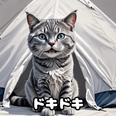 [LINEスタンプ] テントからのぞくかわいい猫 第3弾