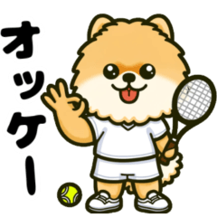 [LINEスタンプ] テニスが大好きな犬達