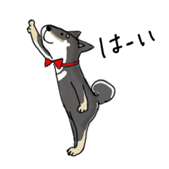 [LINEスタンプ] わんこたちの日常で使えるスタンプ