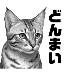 [LINEスタンプ] AI・モノクロ猫③(会話)