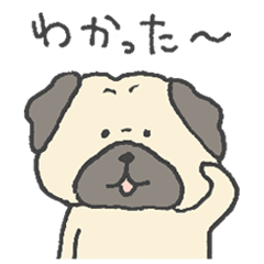 [LINEスタンプ] ◯パグ◯