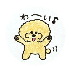 [LINEスタンプ] トイプードルイラストスタンプ(チミ子)