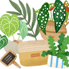 [LINEスタンプ] 観葉植物スタンプアレンジ 1