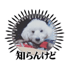 [LINEスタンプ] アッシュと申します❷