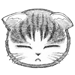 [LINEスタンプ] ペン画の顔だけ猫スタンプとおまけ