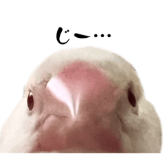 [LINEスタンプ] うめさくらい