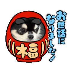 [LINEスタンプ] 西荻麦太郎 アニメーションスタンプ