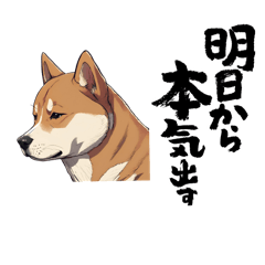 [LINEスタンプ] 柴犬好きの為のスタンプ