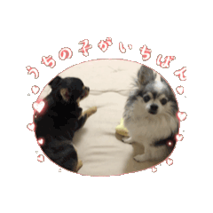 [LINEスタンプ] こてとミッキー