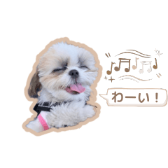 [LINEスタンプ] めりのちゃん_202405