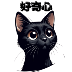 [LINEスタンプ] 黒猫の表情24 黒猫エモーションズ