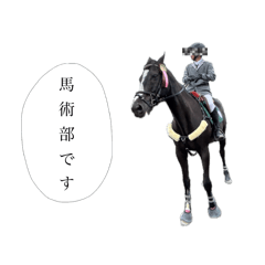 [LINEスタンプ] 我が部の馬たち。〜馬術部員向け第2弾〜