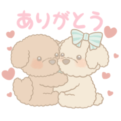 [LINEスタンプ] トイプードルのモカとラテ