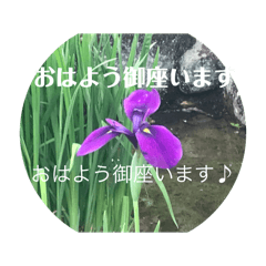 [LINEスタンプ] もう 夏ですね