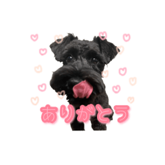 [LINEスタンプ] 子犬のきなこちゃん