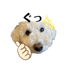 [LINEスタンプ] ハッピーくう