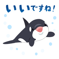 [LINEスタンプ] オルカの毎日使えるスタンプ