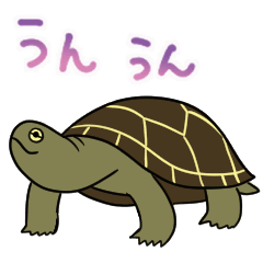 [LINEスタンプ] 毎日使える！動くクサガメスタンプ