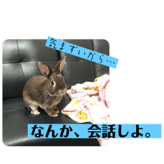 [LINEスタンプ] 会話にピッタリ！げんまいLINEスタンプ