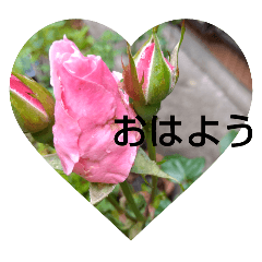 [LINEスタンプ] MyGardenFlower6