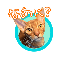 [LINEスタンプ] ぎれぴとじぜぴとふらぴ