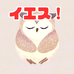 [LINEスタンプ] 眠るふくろう