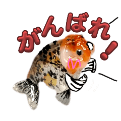 [LINEスタンプ] kiirobanagoldfish vol.2