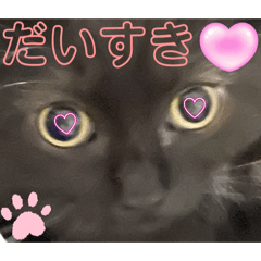 [LINEスタンプ] 黒猫 ルナ院長145にゃんめ