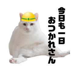 [LINEスタンプ] 今過保護ねこスタンプ