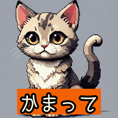 [LINEスタンプ] 魅力的な猫スタンプ