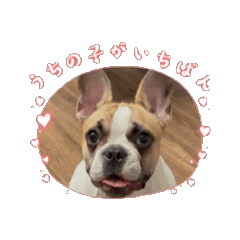 [LINEスタンプ] 動く我が家の愉快なペット達2の画像（メイン）