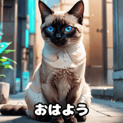 [LINEスタンプ] 猫の王国：40種のステッカーパック