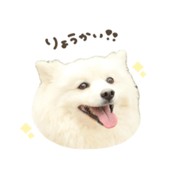 [LINEスタンプ] そらくん☆ぽぽくんBIGFace