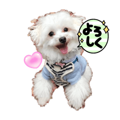 [LINEスタンプ] イタズラハルくんの日常