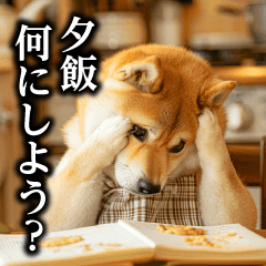 [LINEスタンプ] 柴犬ママ【日常編】