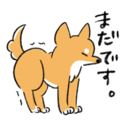 [LINEスタンプ] 豆柴お茶子