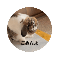 [LINEスタンプ] たかはしを愛するうさぎ