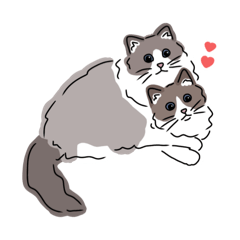 [LINEスタンプ] ねこってかわいい...